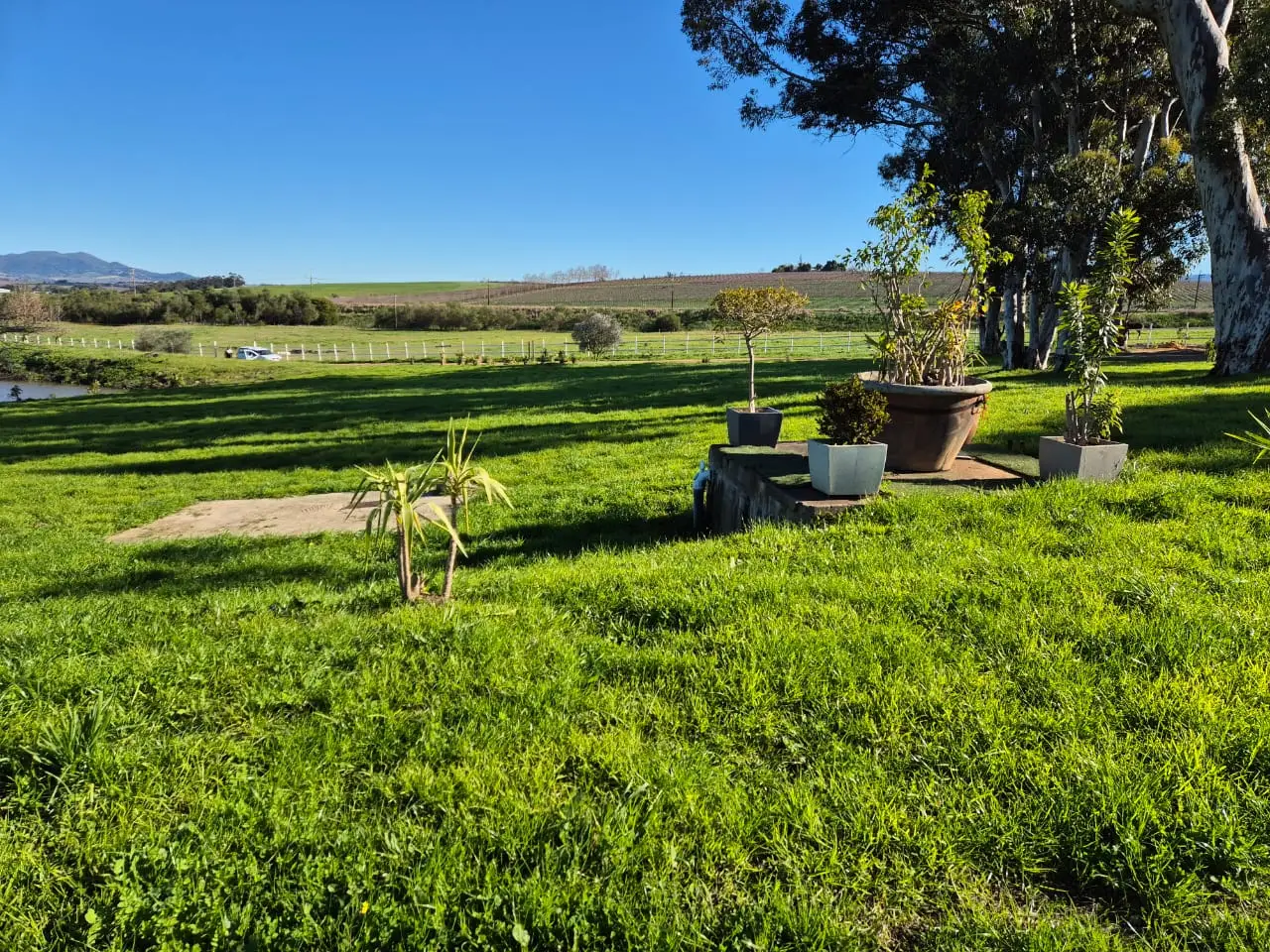 renewal recovery ranch green fields