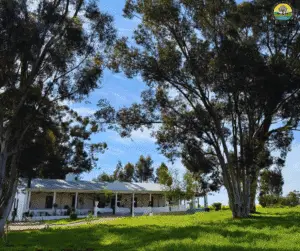 addiction recovery centre Cape Town peaceful facility environment