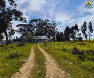 peaceful natural environment for addiction recovery Cape Town